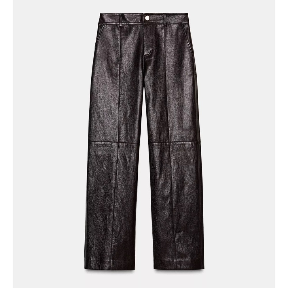 Zara Brown Faux Leather Pants